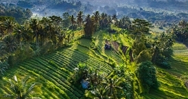 Bali online visa