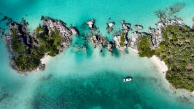 apply online bermuda arrival card
