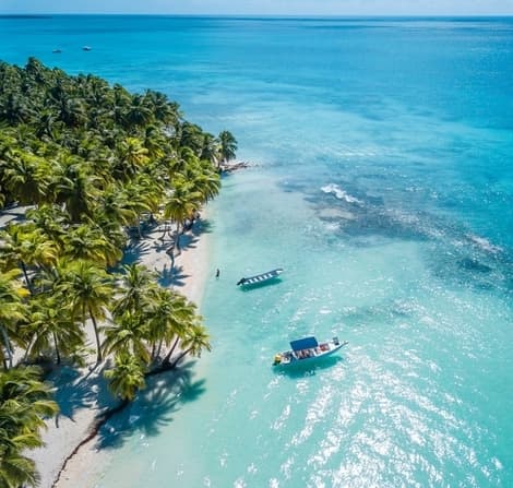 Dominican republic eticket online Vietnam electronic visa