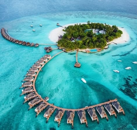 Maldives traveller declaration
