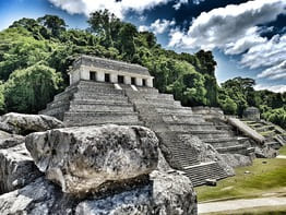 Mexico visitax and fmm