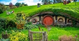 New Zealand ETa application form