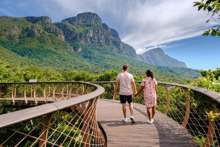 South Africa Traveller Declaration for British