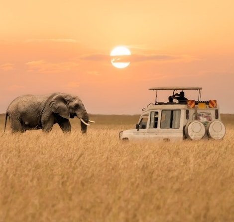 Tanzania electronic visa